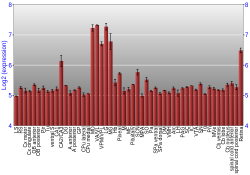 Expression graph