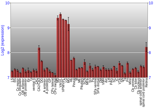 Expression graph