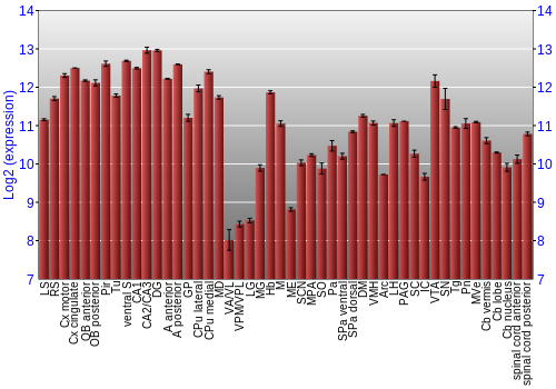 Multi-state expression graph