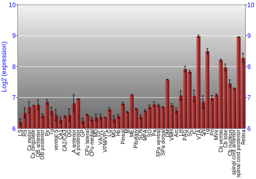 Expression graph