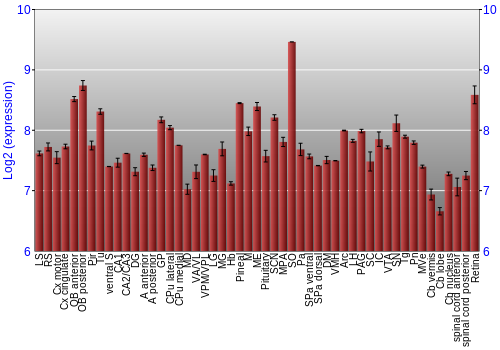 Expression graph