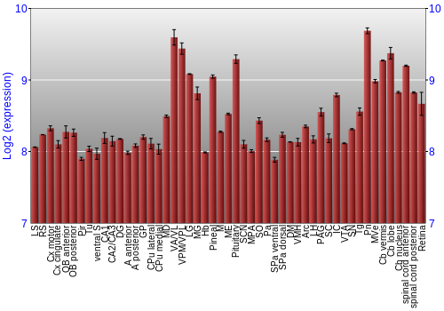 Expression graph