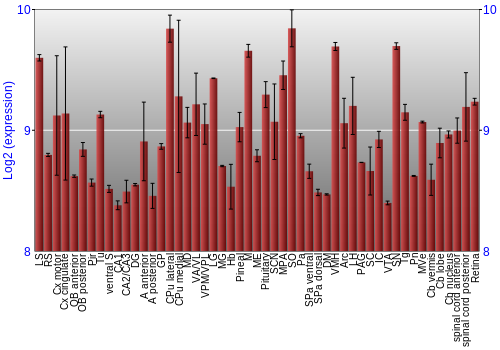Expression graph