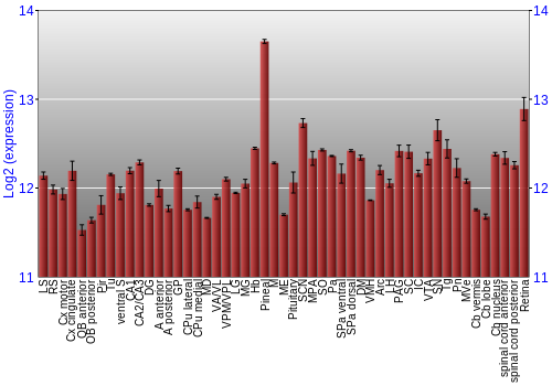 Expression graph