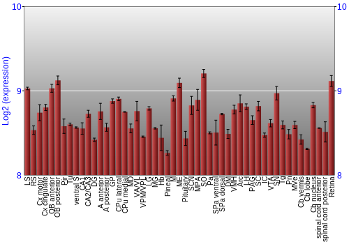Expression graph