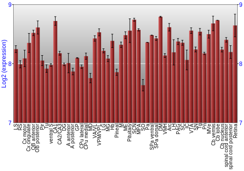 Expression graph