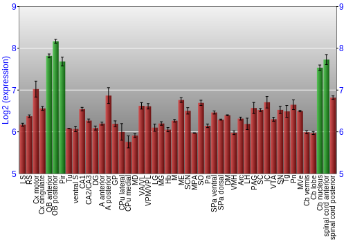 Multi-state expression graph