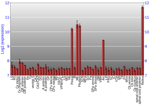 Expression graph