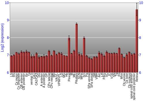 Expression graph