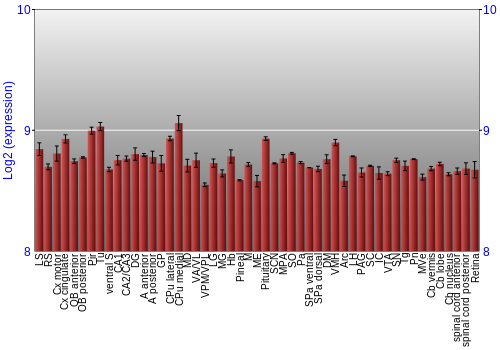 Expression graph