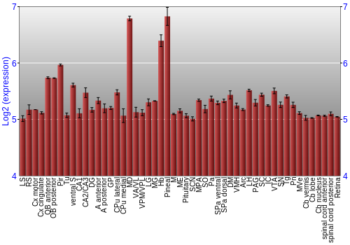 Expression graph