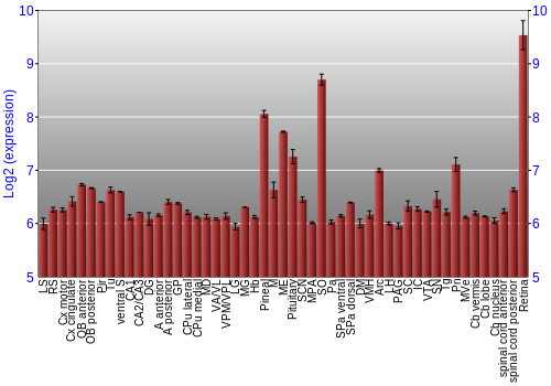 Expression graph