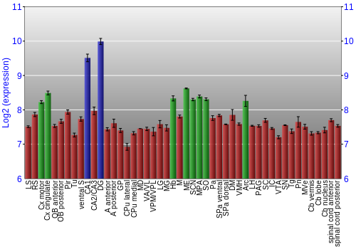 Multi-state expression graph