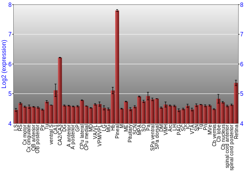 Expression graph