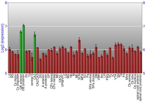 Multi-state expression graph