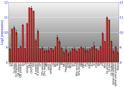 Expression graph