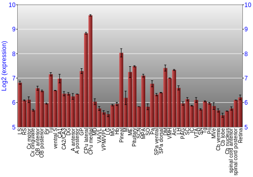 Expression graph