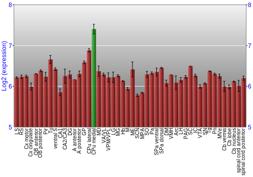 Multi-state expression graph