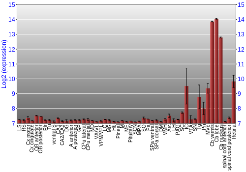 Expression graph
