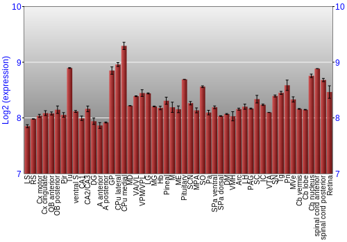Expression graph