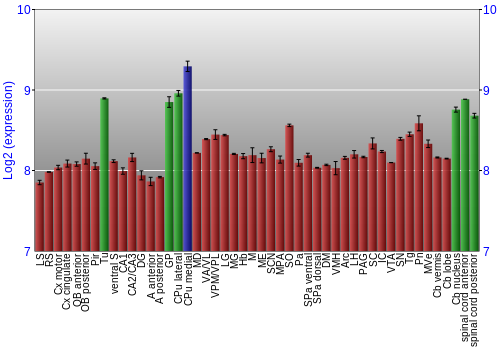 Multi-state expression graph