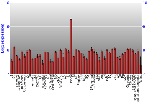 Expression graph