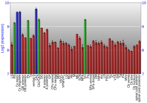 Multi-state expression graph