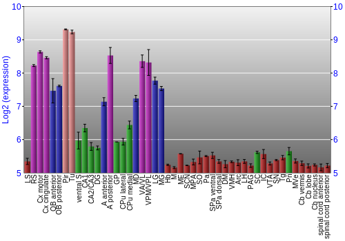 Multi-state expression graph