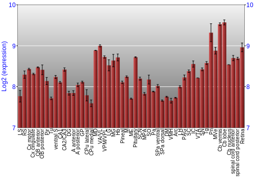 Expression graph