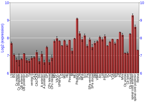 Expression graph