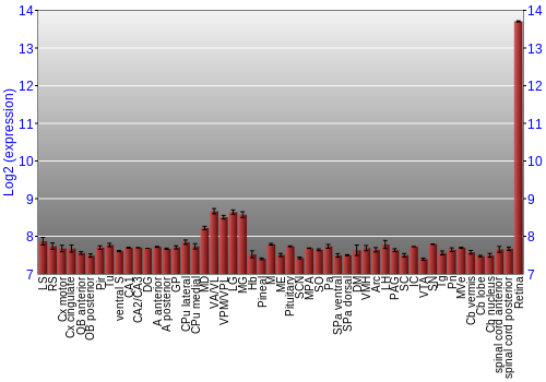 Expression graph