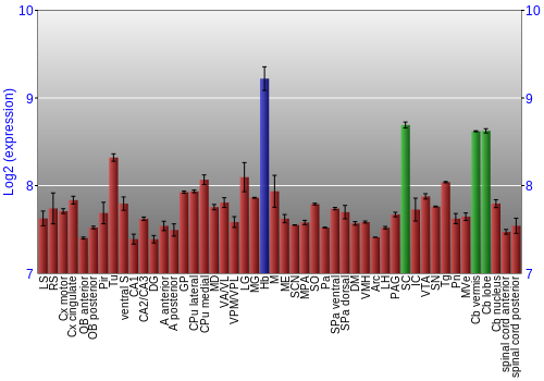 Multi-state expression graph