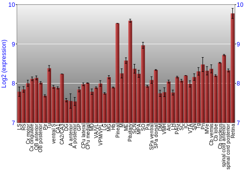 Expression graph