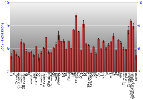 Expression graph