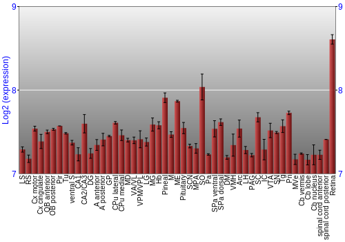 Expression graph