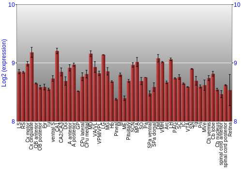 Expression graph