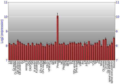 Expression graph