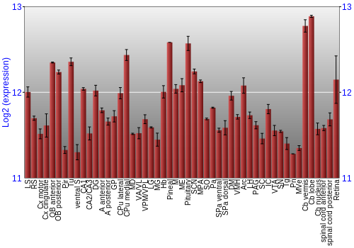 Expression graph