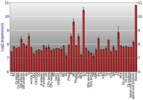 Expression graph