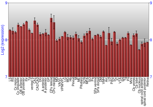 Expression graph