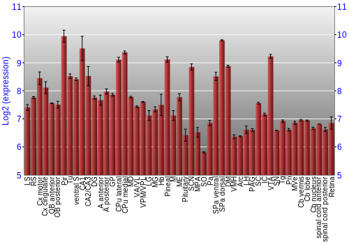 Expression graph