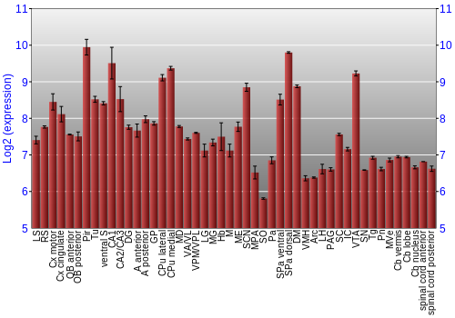 Multi-state expression graph