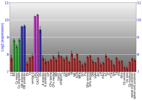 Multi-state expression graph