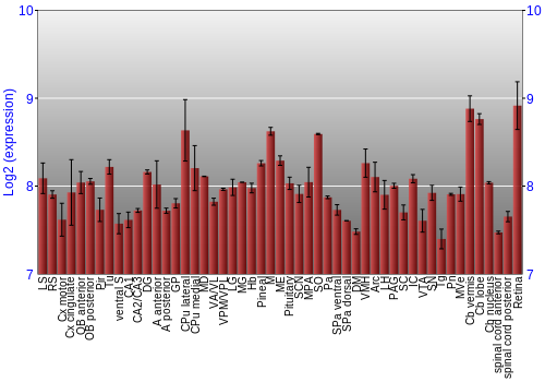 Expression graph