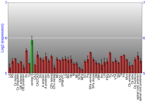 Multi-state expression graph