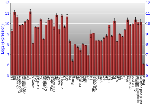 Expression graph