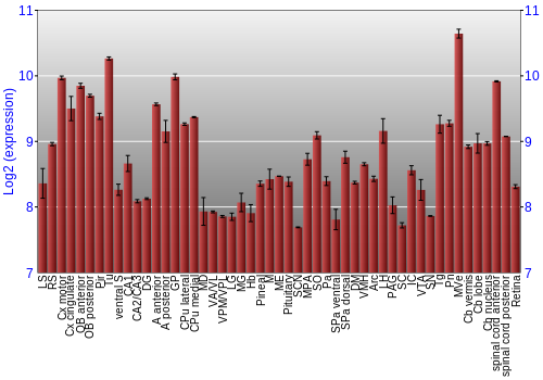 Expression graph