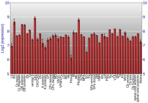 Expression graph