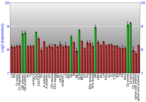 Multi-state expression graph