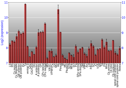 Expression graph